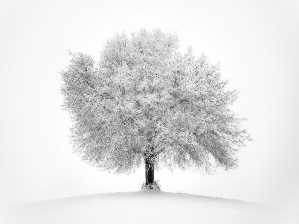 Photograph by Emelyanov Alex