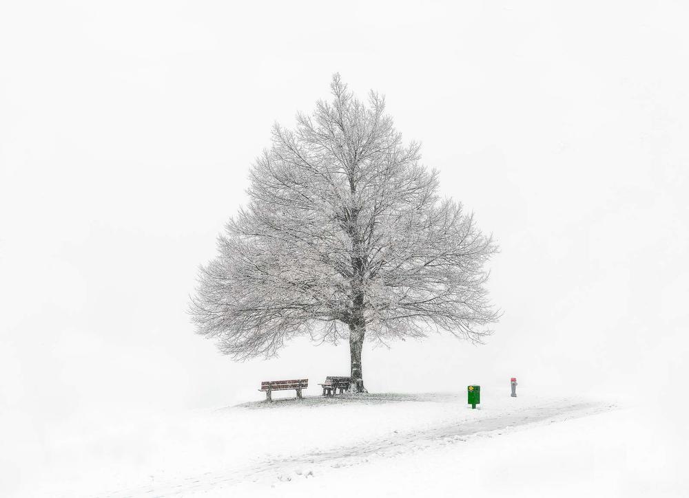 Фотография автора Emelyanov Alex