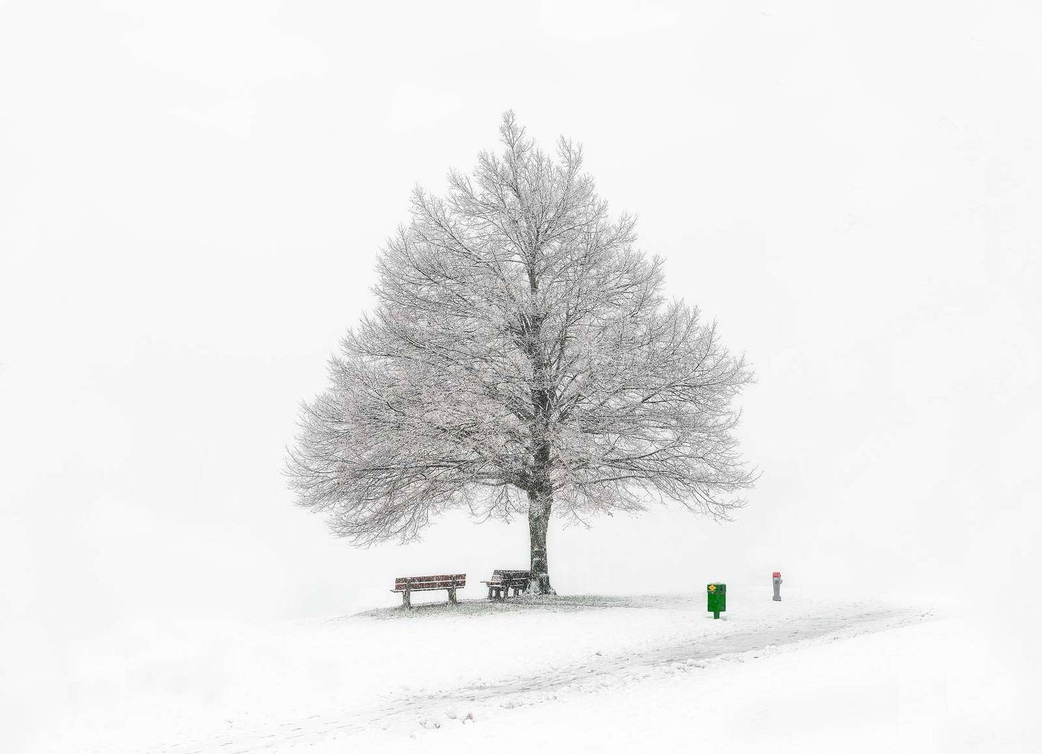 Фотография #5789743