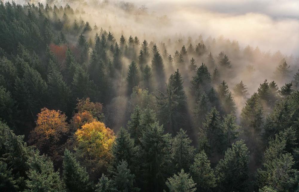 Фотография автора Emelyanov Alex