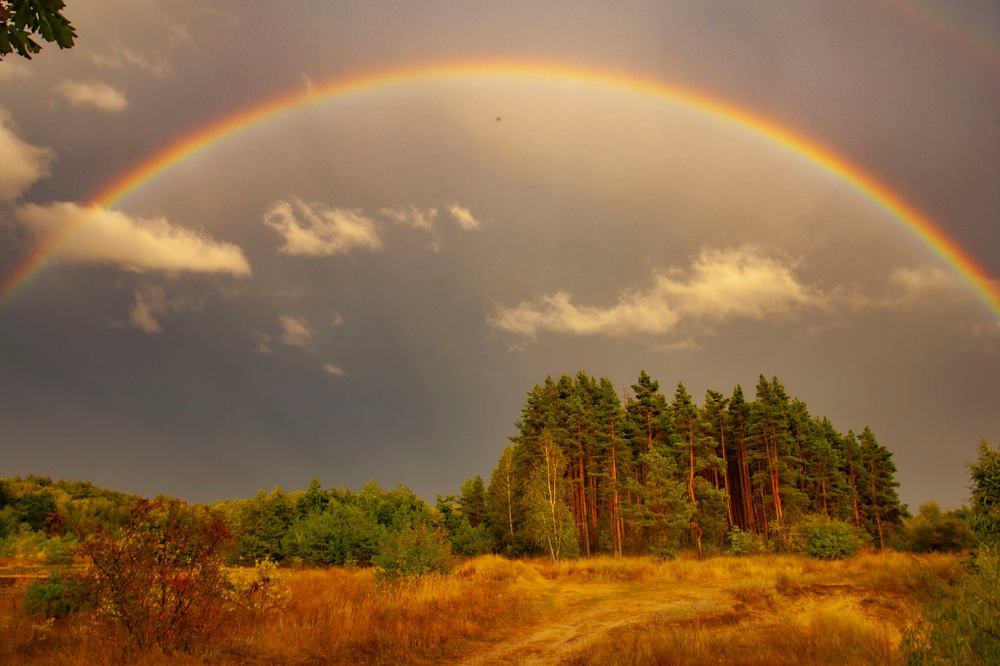 Photograph by Галина Завязкина