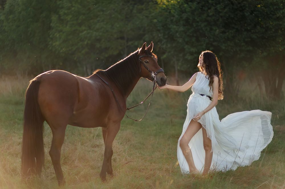 Лошадь по имени Эльза.