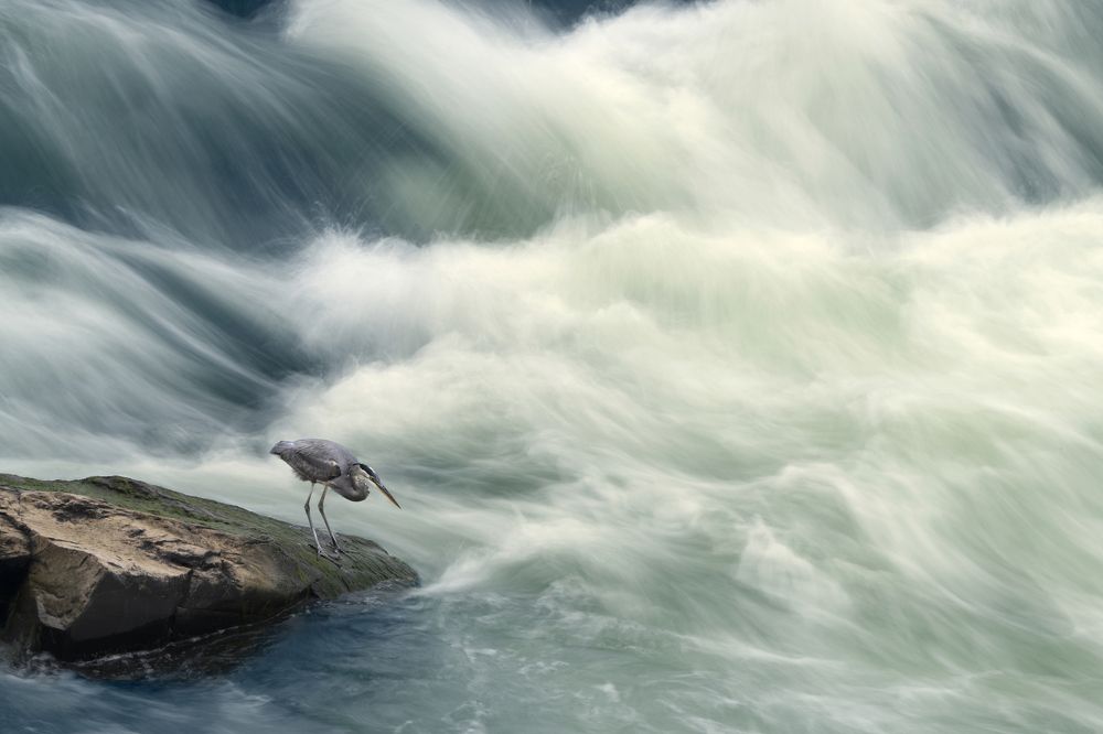 Фотография автора Irina Kozhemyakina