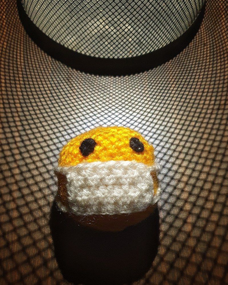 Photograph by Shikhar Saini