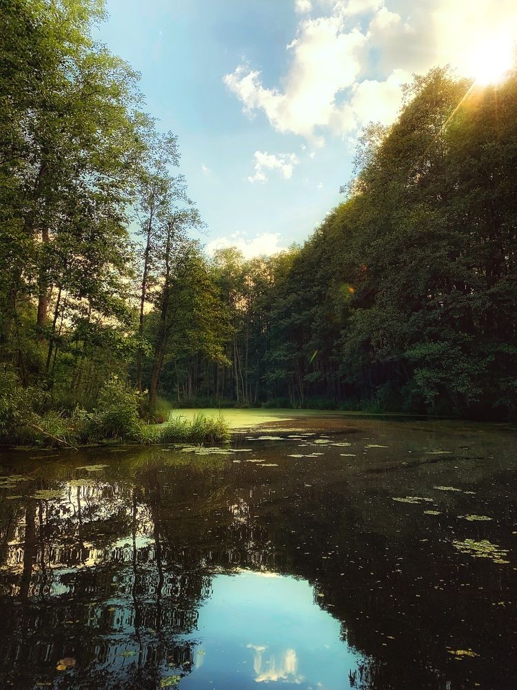 Photograph by Сергей Протасов