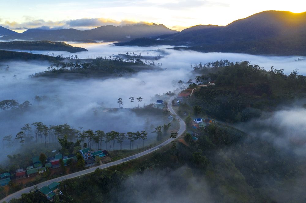 The road through the mist