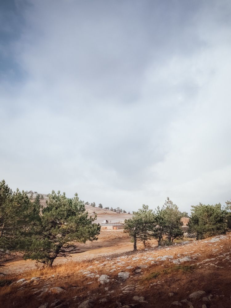 Photograph by Tata Glazkova