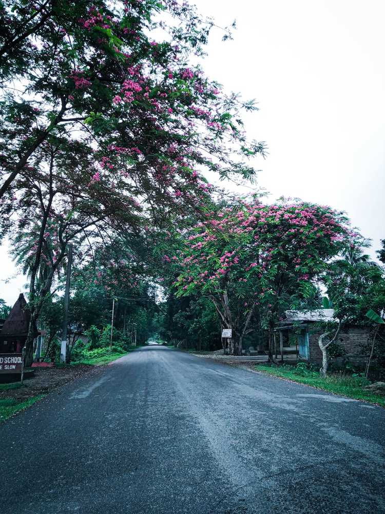Photograph by Debajyoti Talukdar