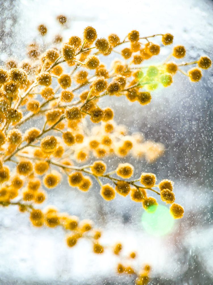 хрупкая надежда