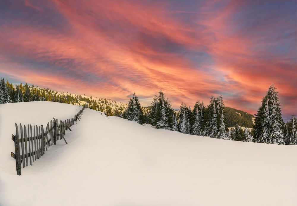 Photograph by Jeni Vladeva