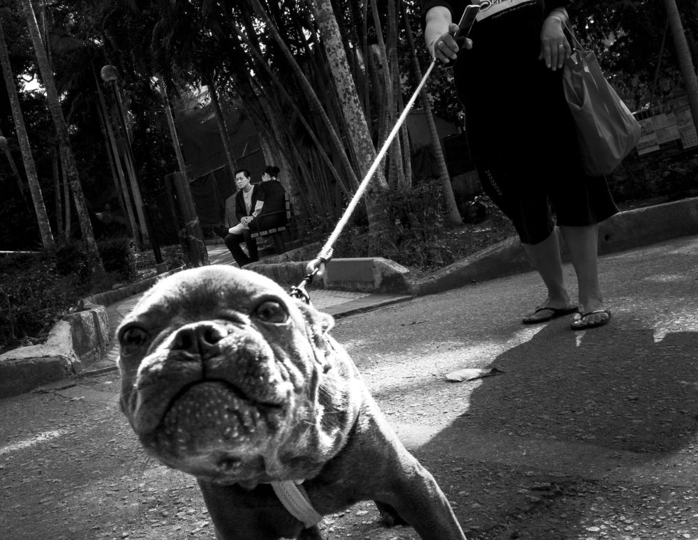 Photograph by Che Chun Hei