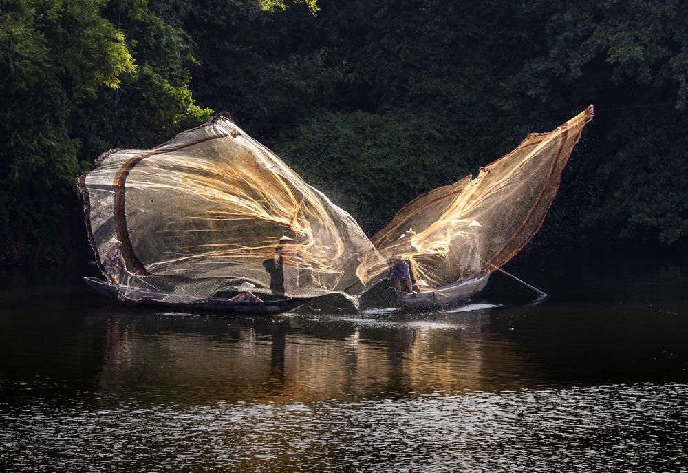 Flying together to trap fish