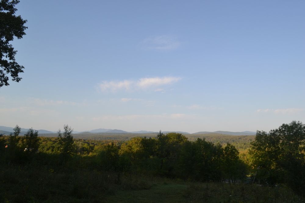 Photograph by Даша Камардина