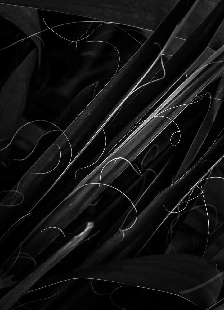 Photograph by Sergey Kovalenko