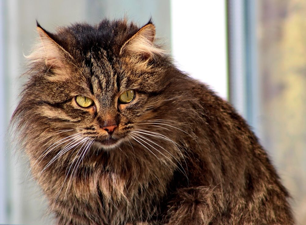 Photograph by Galina Tsmyg