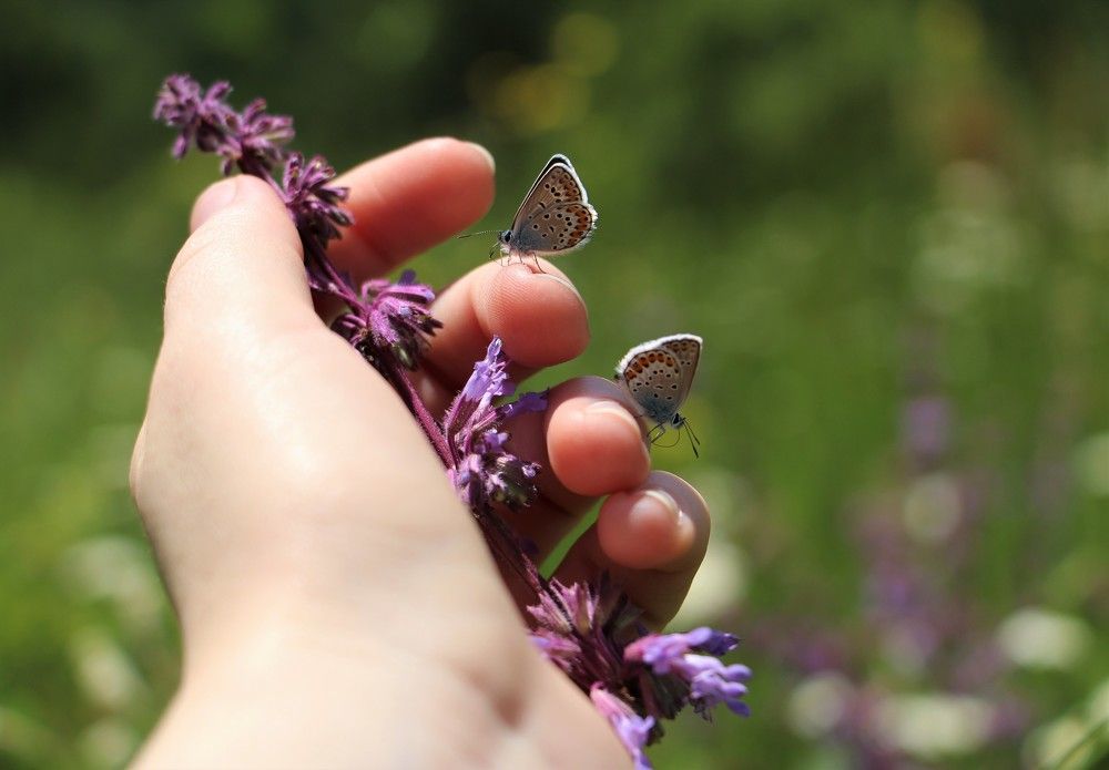 Photograph by Юлия Гудевич