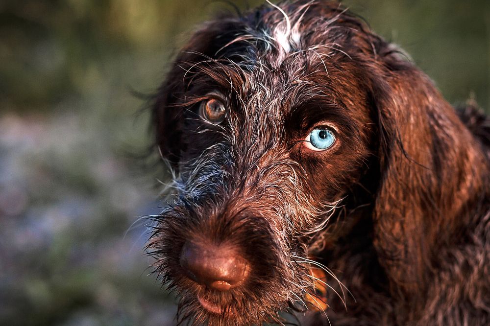 Photograph by Ольга Калимулина