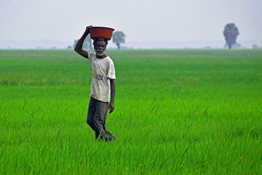 Photograph by Suyothami