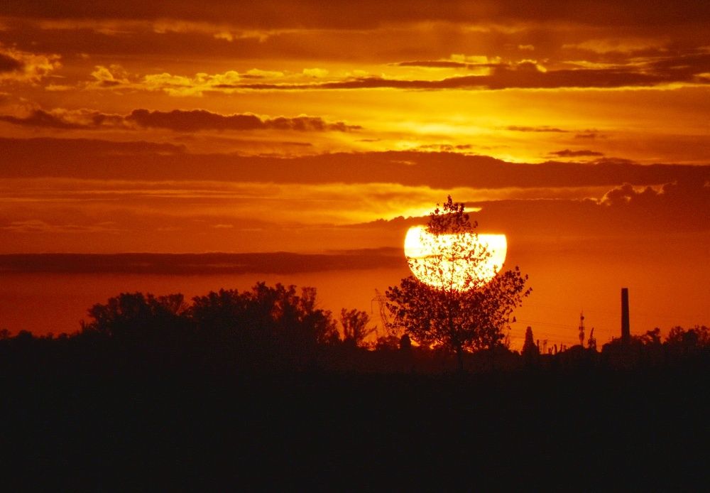 Photograph by Daniela