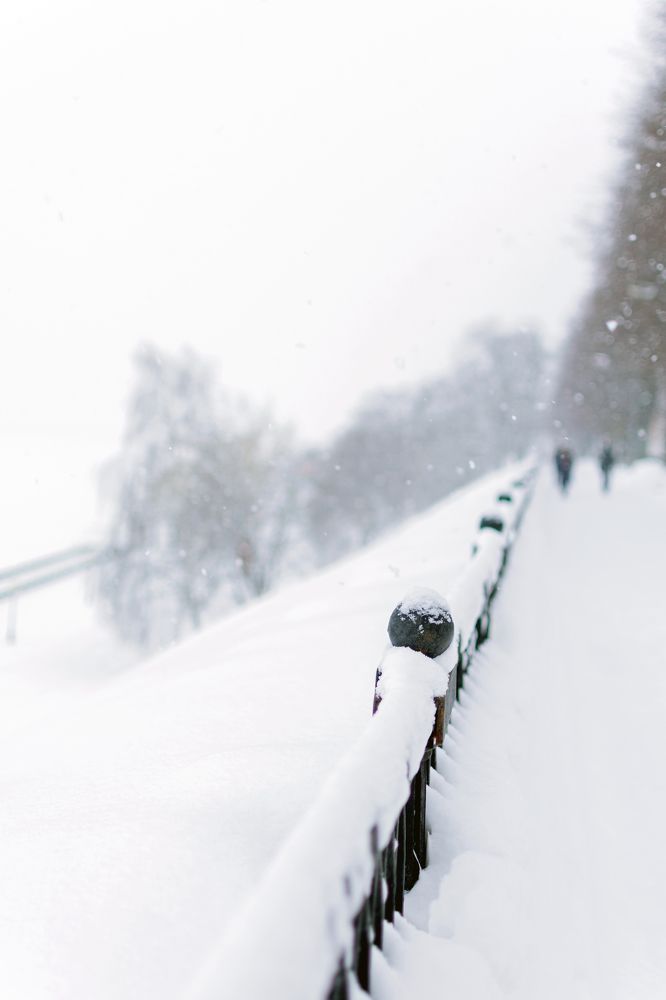 Фотография автора Наталья Татаринова