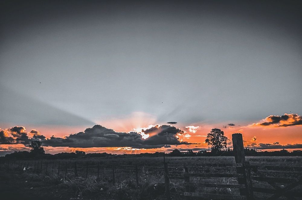 Photograph by Daniela