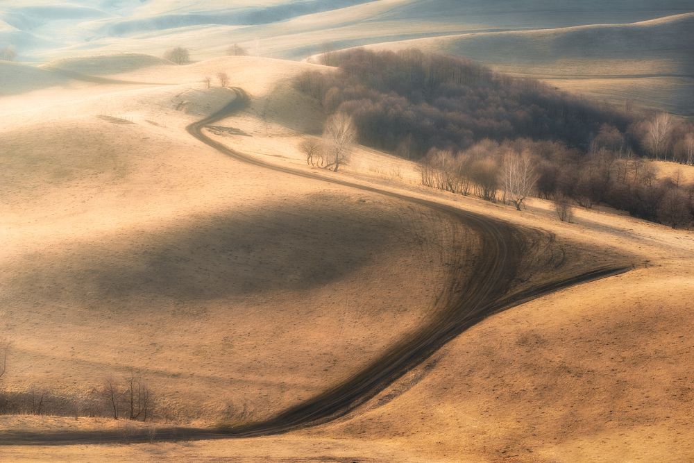 Photograph by Александр Орнатский