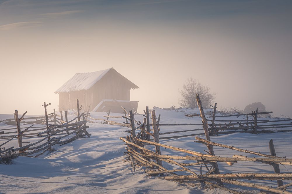 Фотография автора Mario Shumanov