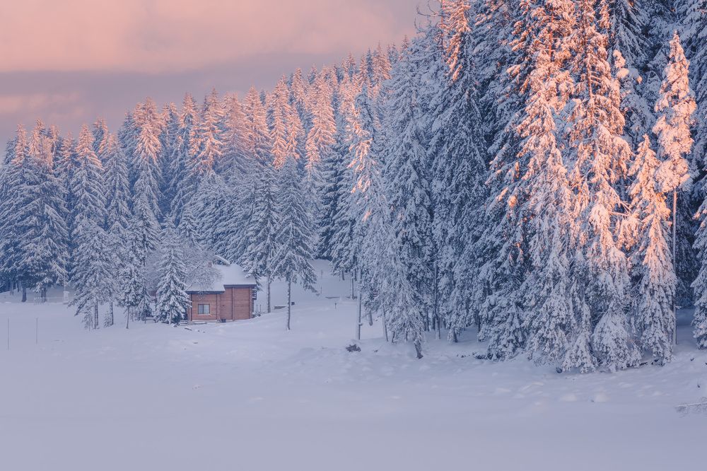 Фотография автора Mario Shumanov