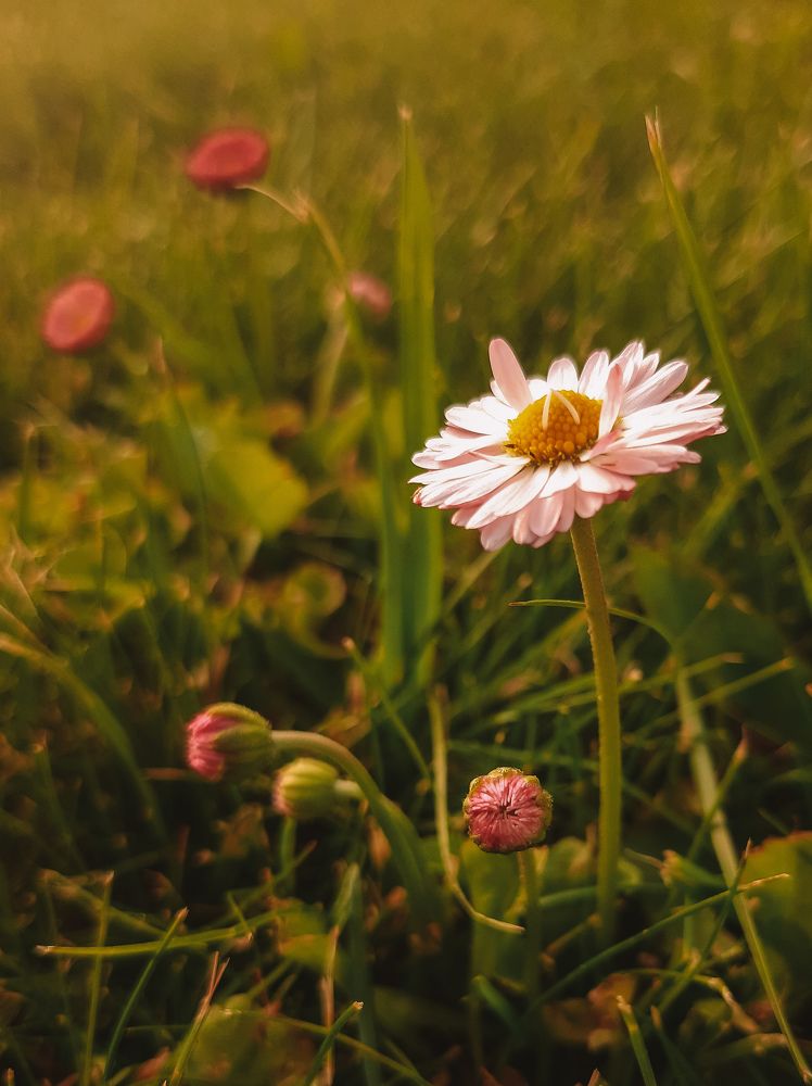 Photograph by Мария Глотова