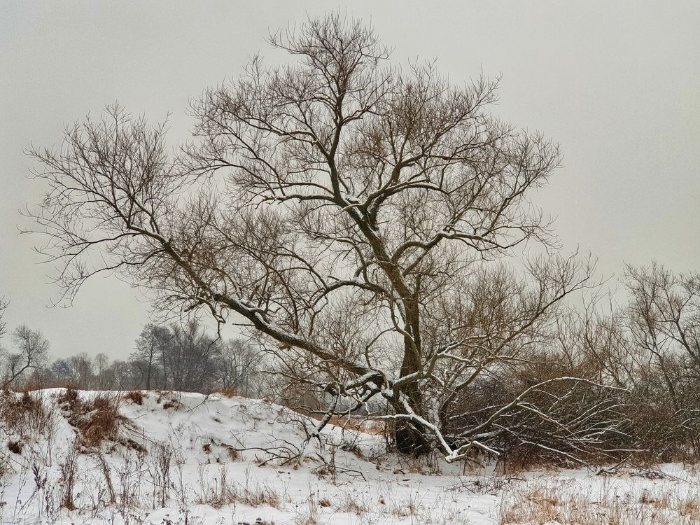 Photograph by Marcin Sokolowski - maarew