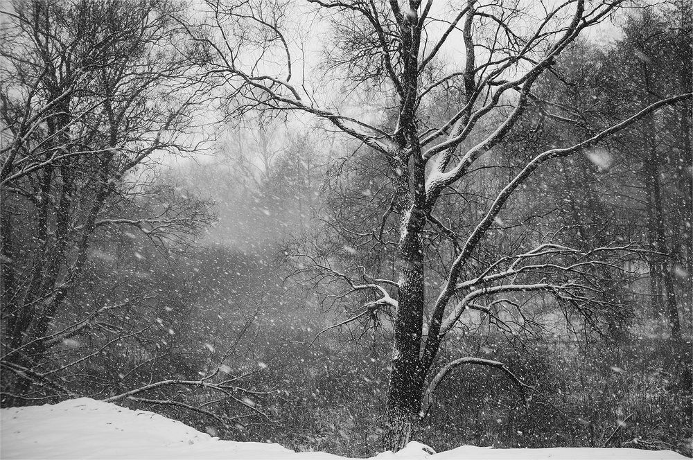 Photograph by Руслан Савченко