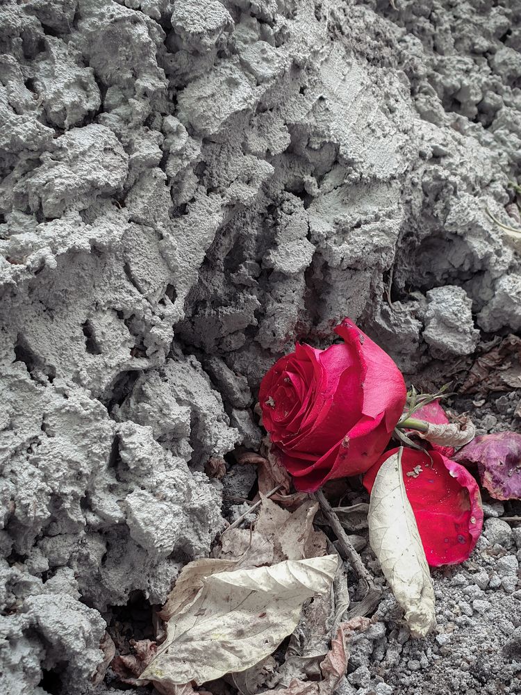 Photograph by Татьяна Лышенко