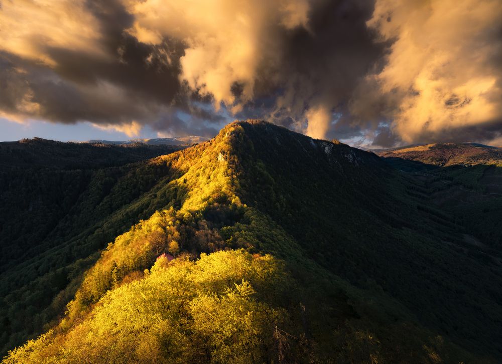 Photograph by Filip Hrebenda