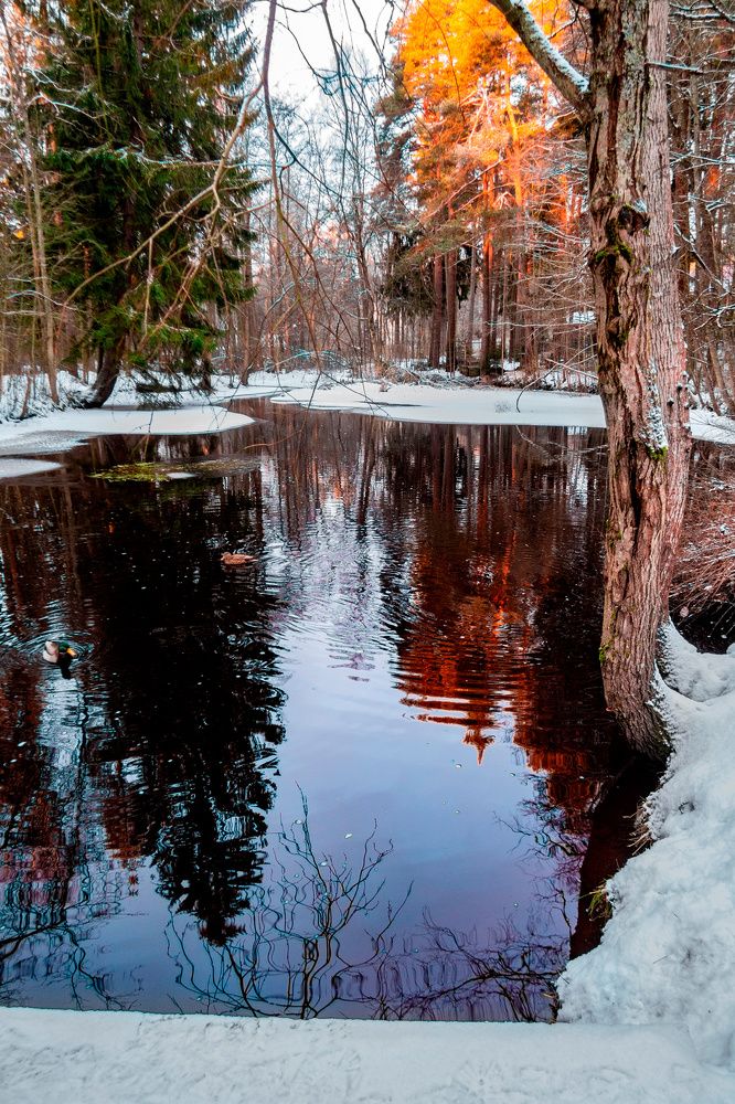 Photograph by Konstantin Krouz