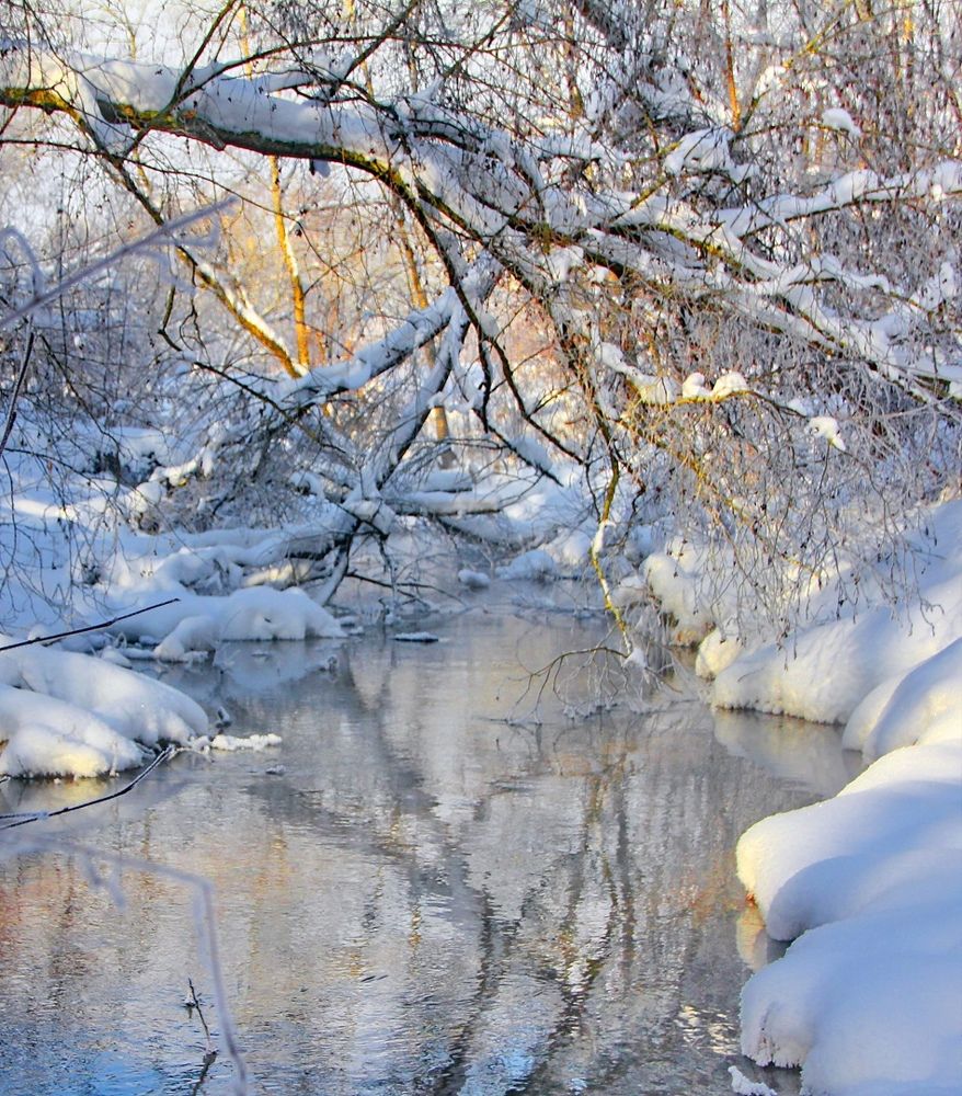 Лесные ручьи февраля.
