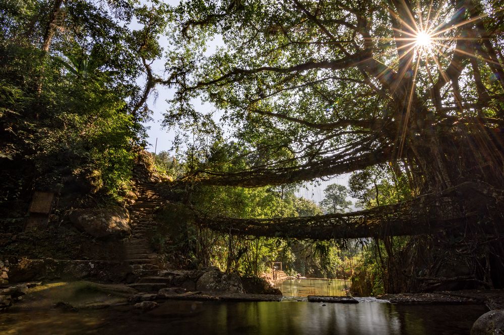 Photograph by Mohamed Fazil