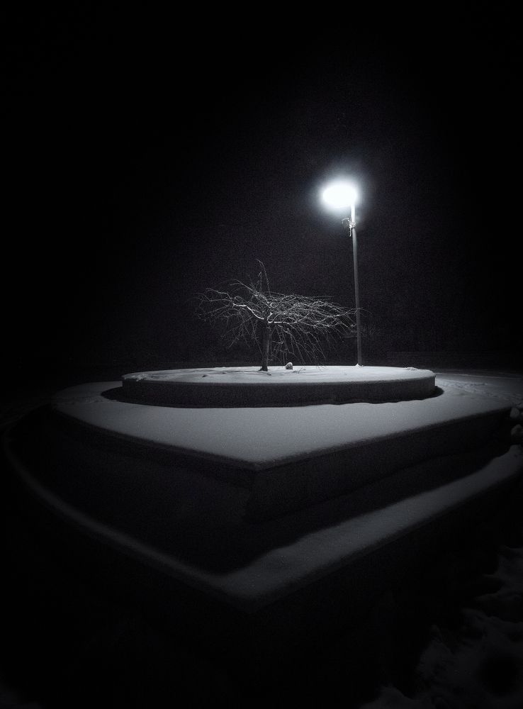 Фотография автора Андрей Жила