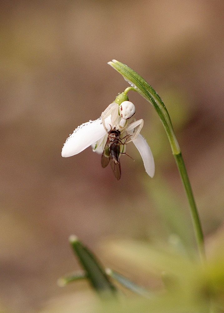Photograph by Малика Маткарим