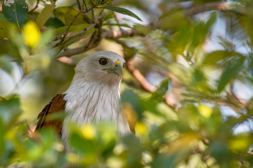 Photograph by Neeraj Gade