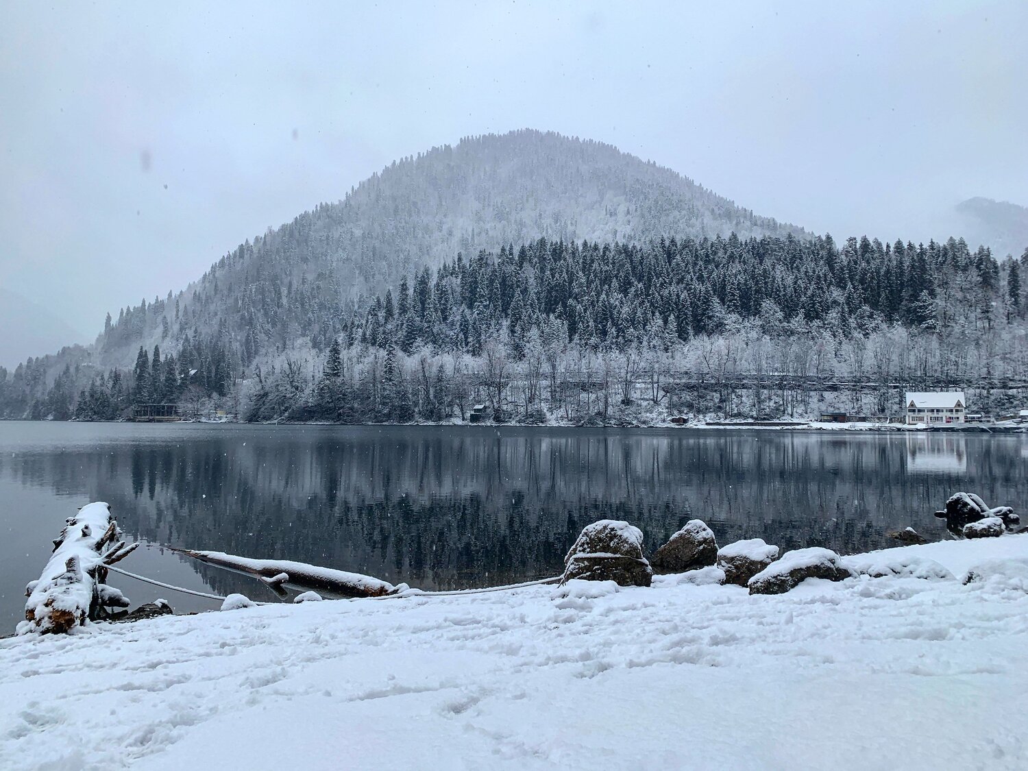 Photo #5790811