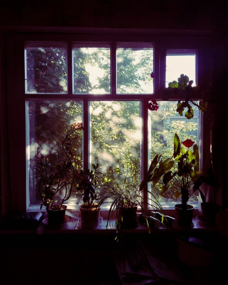 Photograph by Михаил Дунаеа