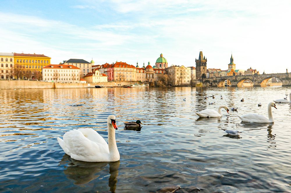 Photograph by Полина Жорова