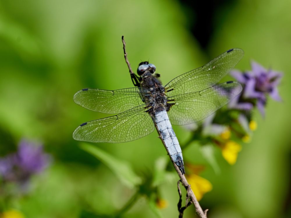 Иногда и вертолеты отдыхают -:))