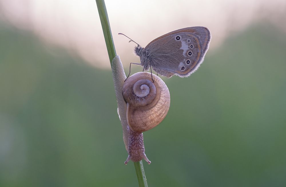 Photograph by Tomas Ivašauskas