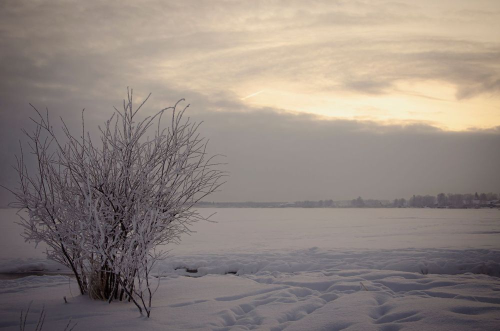 Photograph by Сергей Комаров