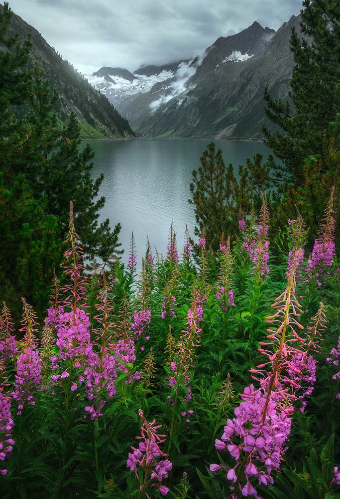 Photograph by Jakub Perlikowski