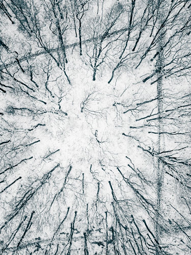 Photograph by Daniel Franc