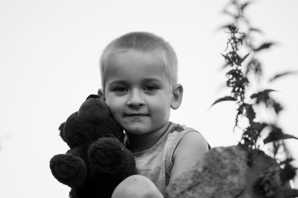 Photograph by heymans Tiffany