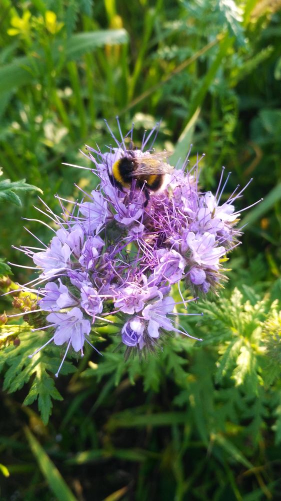 Photograph by Станислав Евсеев