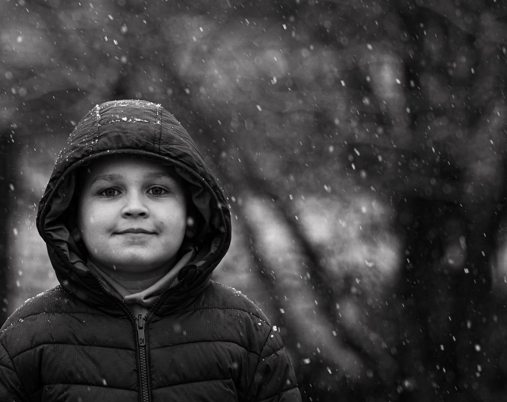 Photograph by heymans Tiffany